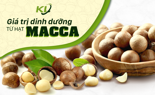 NHỮNG GIÁ TRỊ DINH DƯỠNG TUYỆT VỜI TỪ HẠT MACCA