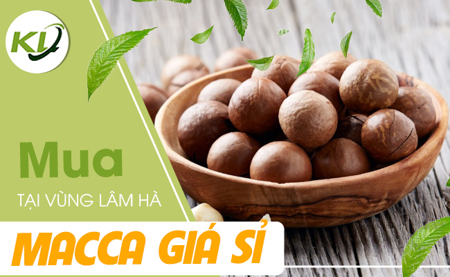 MUA MACCA GIÁ SỈ TẠI VÙNG LÂM HÀ