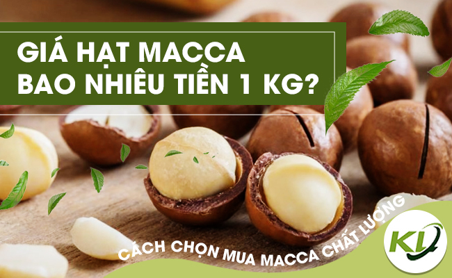 GIÁ HẠT MACCA BAO NHIÊU TIỀN 1 KG? CÁCH CHỌN MUA MACCA CHẤT LƯỢNG