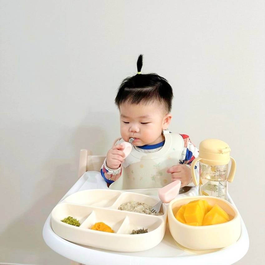 Hướng dẫn mẹ cách chế biến hạt macca cho bé ăn dặm đơn giản, hấp dẫn