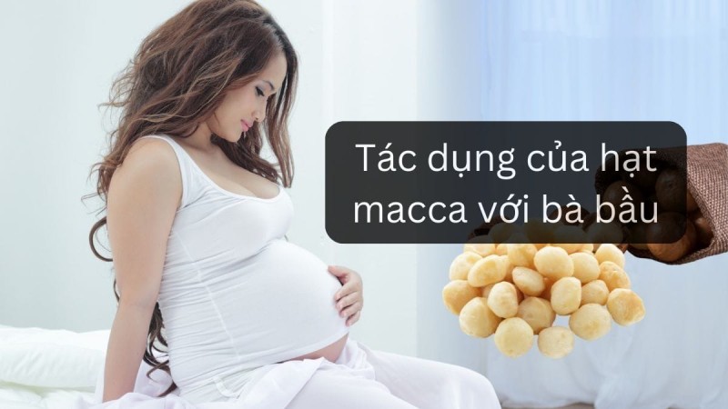 Công dụng của hạt macca với bà bầu: Thực phẩm vàng cho sức khỏe mẹ và thai nhi