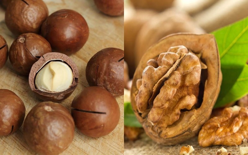 Hạt Óc Chó Và Macca – Hai Loại Hạt Giàu Dinh Dưỡng Không Thể Bỏ Qua