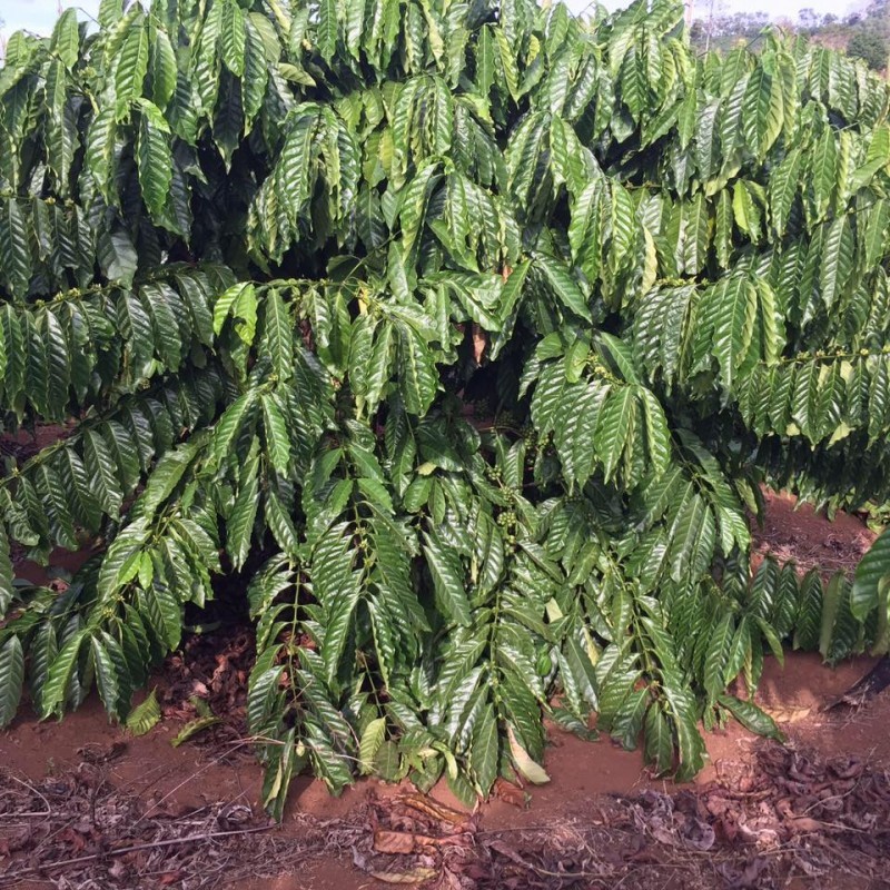 Ảnh bài viết