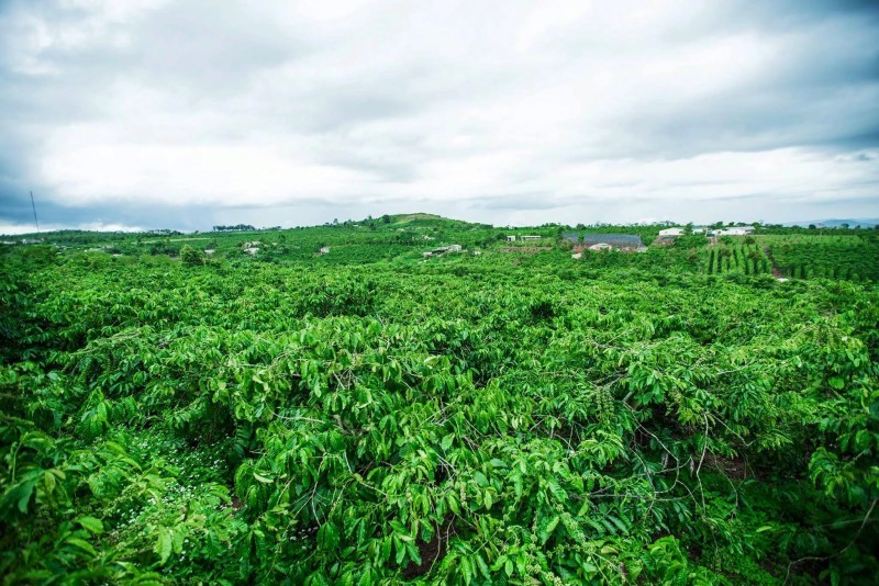 Ảnh bài viết