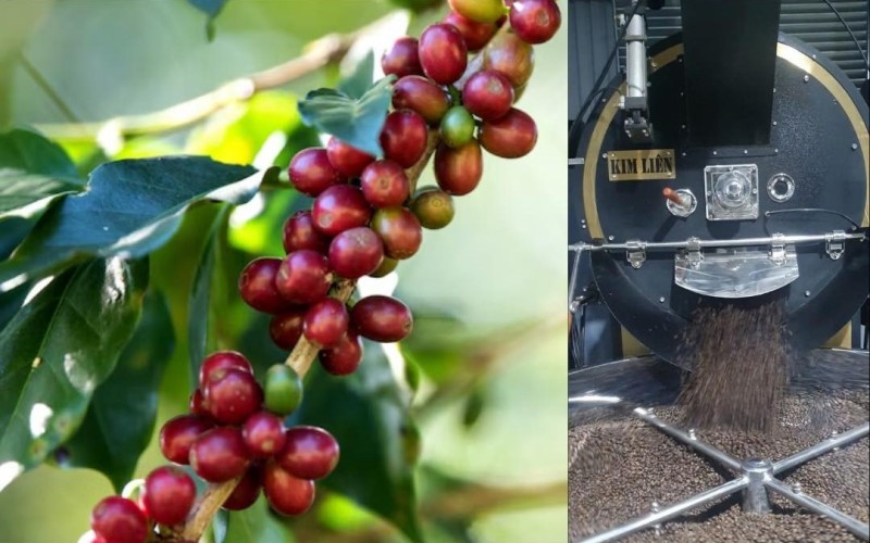 Máy rang cà phê – Trái tim của nghệ thuật chế biến cà phê nguyên chất