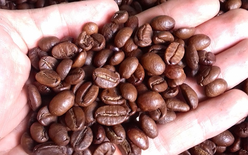 Mua Cà Phê Robusta: Bí Quyết Chọn Đúng Chất, Đúng Giá Cho Người Yêu Cà Phê Việt