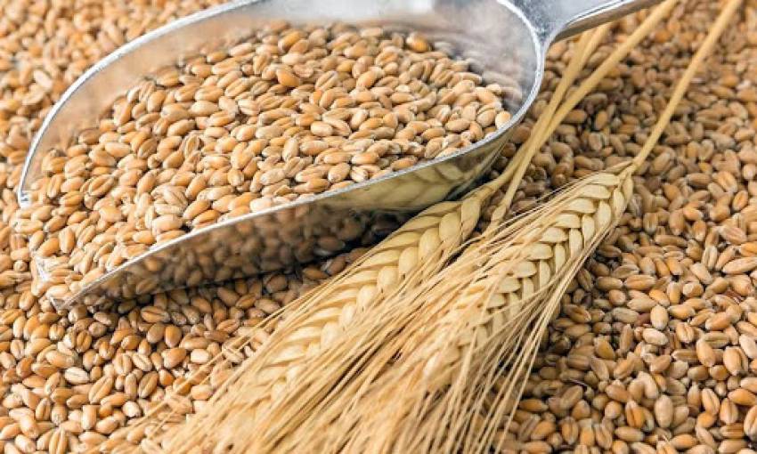 các loại hạt nấu cháo cho bé 6 tháng tuổi