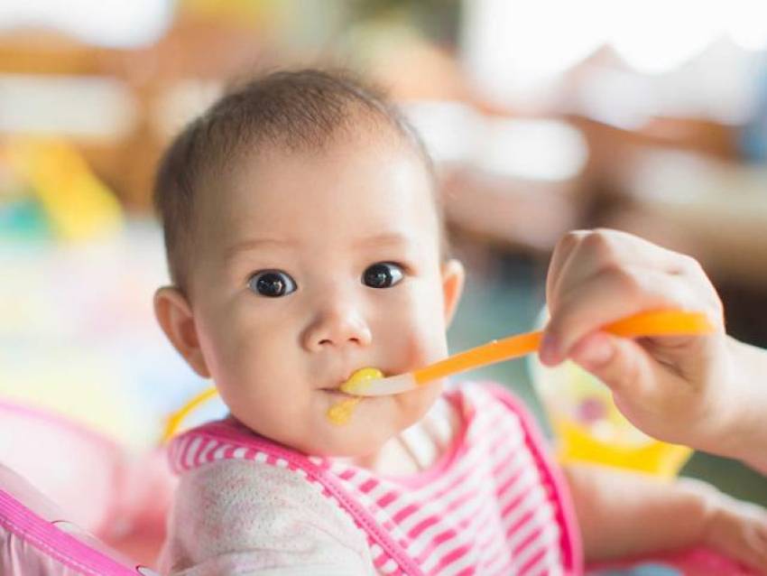 các loại hạt nấu cháo cho bé 6 tháng tuổi