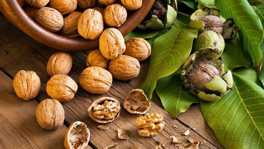các loại hạt nấu cháo cho bé 6 tháng tuổi