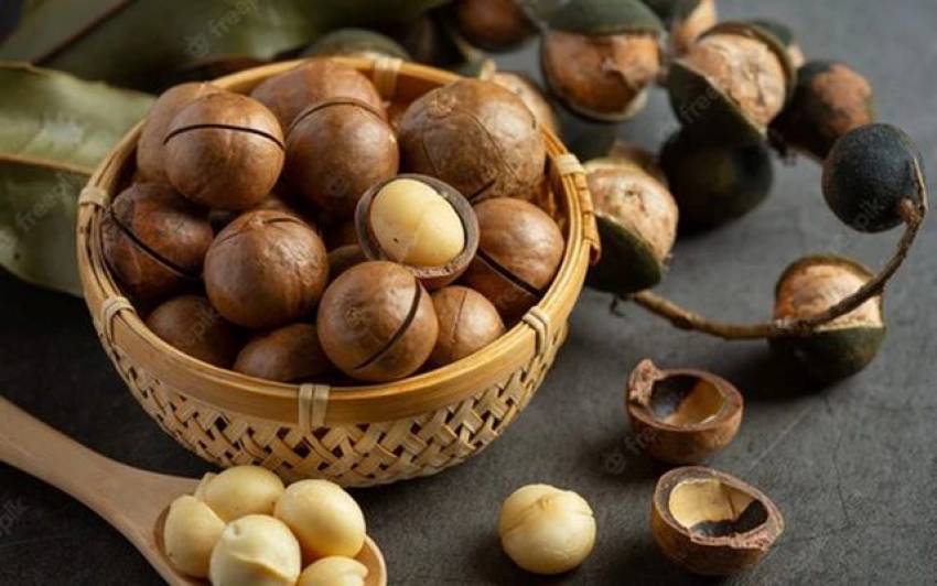 Các loại hạt tốt cho bà bầu 3 tháng đầu để tốt cho bé
