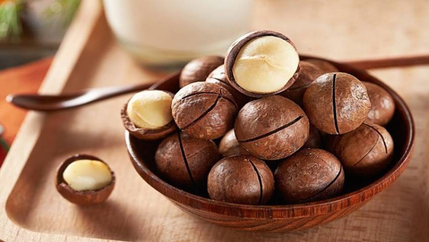 nên mua hạt macca ở đâu giá rẻ chất lượng