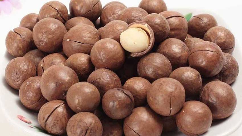 nên mua hạt macca ở đâu giá rẻ chất lượng